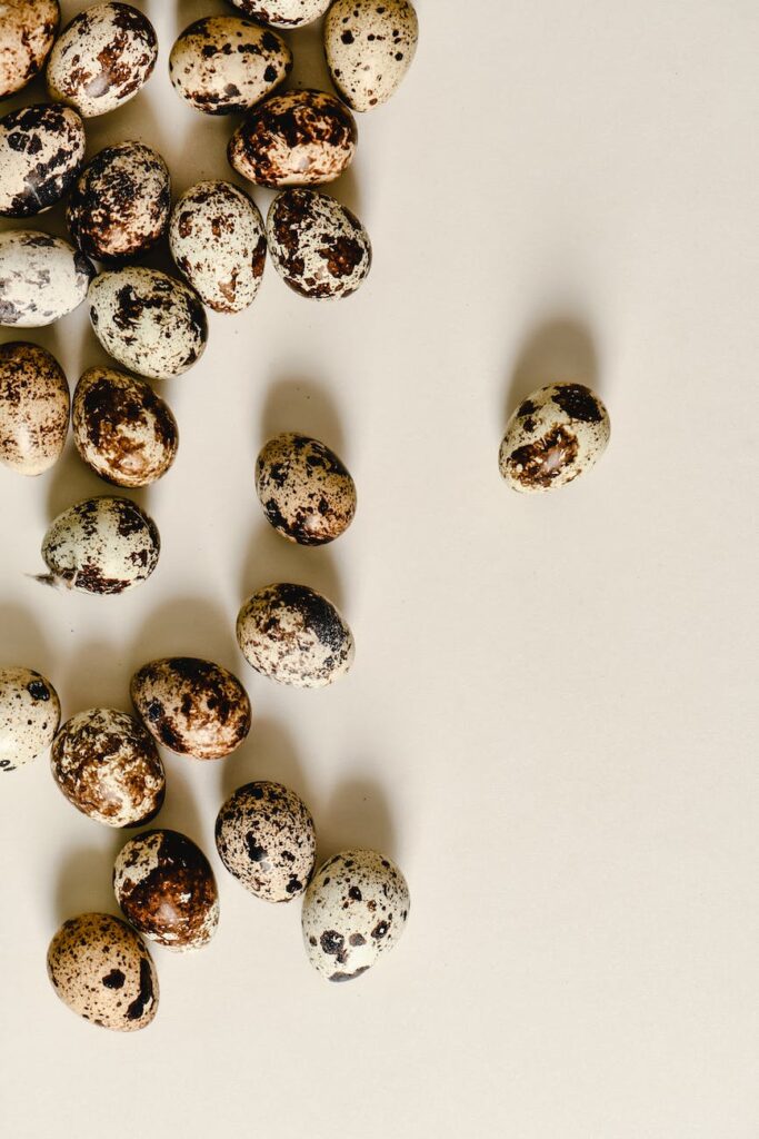 quail eggs on a flat surface