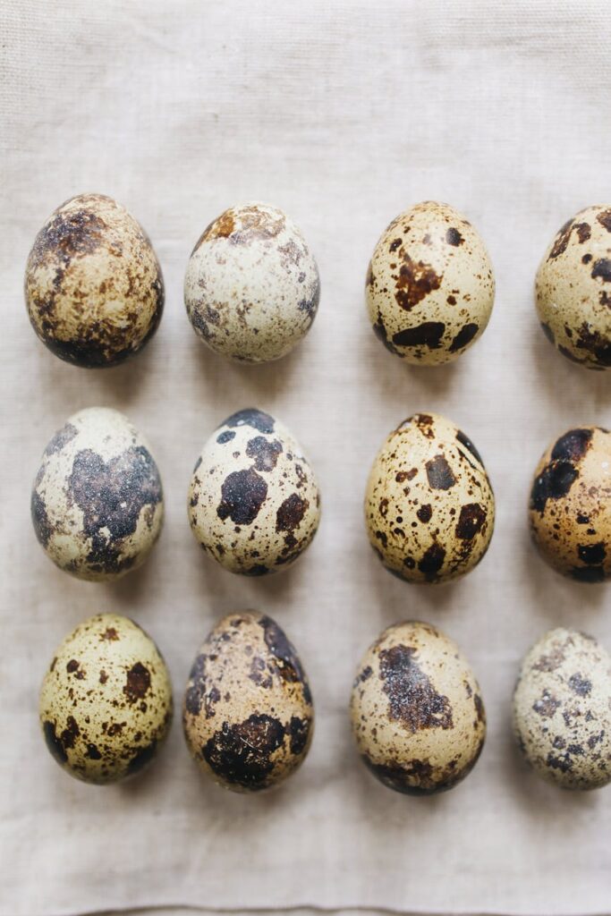 close up photo of quail eggs