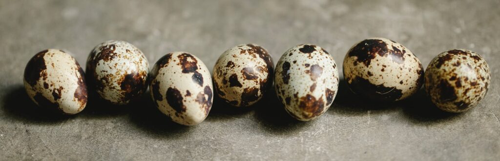 uncooked tasty quail eggs on table in daylight