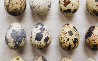 close up photo of quail eggs