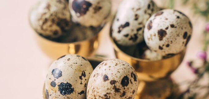 quail eggs in egg cups